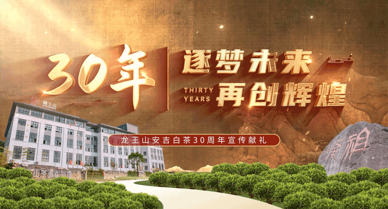 企業(yè)宣傳片—龍王山安吉白茶30周年宣傳片
